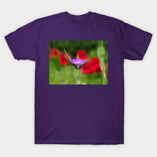 Corncockle in the Poppies T-Shirt by AH64D